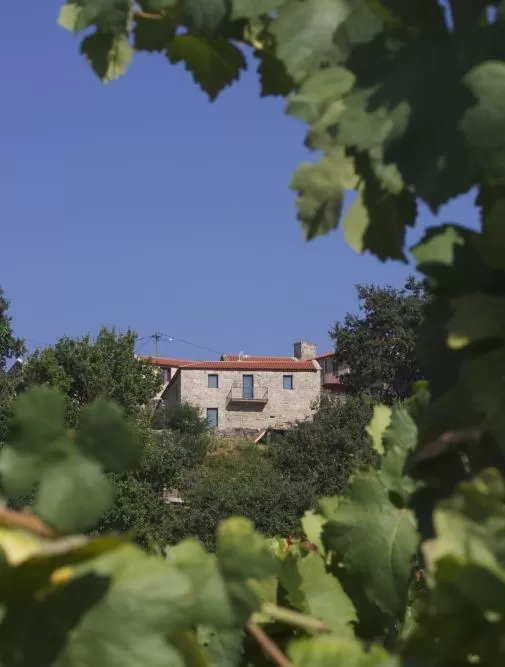 Casa Rural Vino con Libros